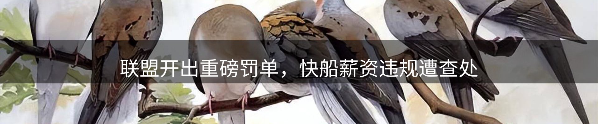 热点看台